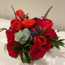 Crimson Passion