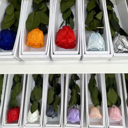 Single Preserved Real Roses