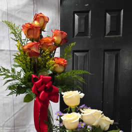 Half Dozen Roses Assorted Colors