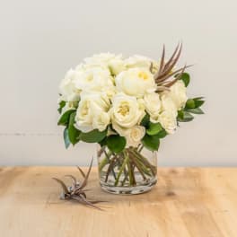 White rose bouquet in a clear glass vase with brown air plants
