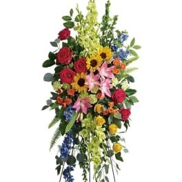 Colorful Tribute