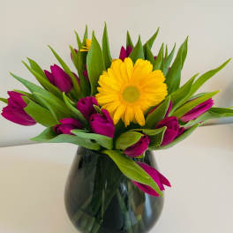 Sunny Surprise