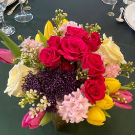 Spring Celebration