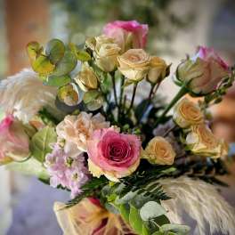 Blush & Bloom
