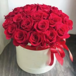 Best of my Love