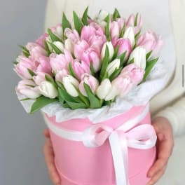Pretty in Pink