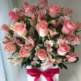 Festival Roses