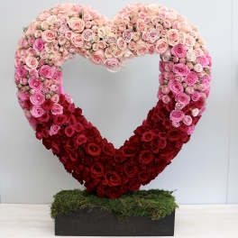 Ombre Heart