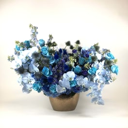 Lovely blue