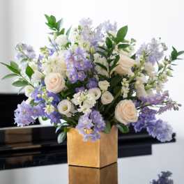 Serenity Bloom