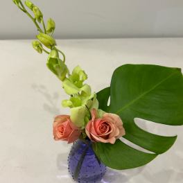Tropical Minimalism