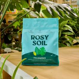 A turquoise bag of houseplant soil sits on a table among leafy plants.