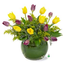 Touch of Tulips
