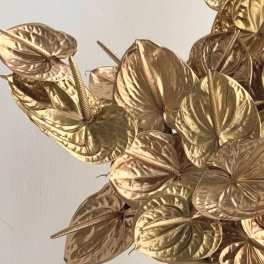 Tropical gold