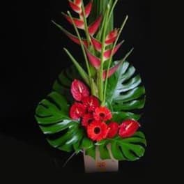 Simple Adoraton (OAHU ONLY)