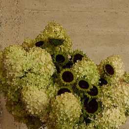 Hydrangeas and sunflowers