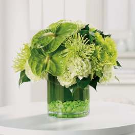 Green Surprise
