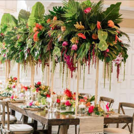 Tropical dinner party