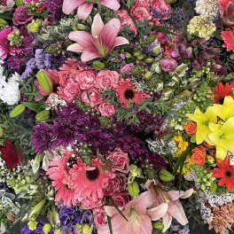 Mixed color palette Colorful
