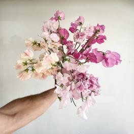 Sweet Peas