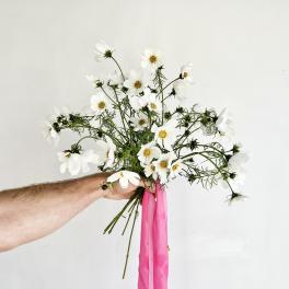 Cosmos