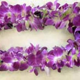 Purple orchid lei on a light background
