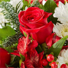 Red rose with white daisies and red alstroemeria in a mixed bouquet