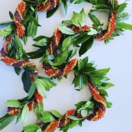 Maile Twist Cigar Lei (OAHU ONLY)