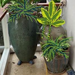 Garden installation and plant delivery