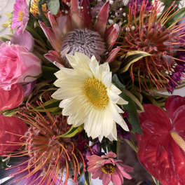 The Valentines deluxe package