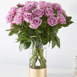 Secret Admirer Rose