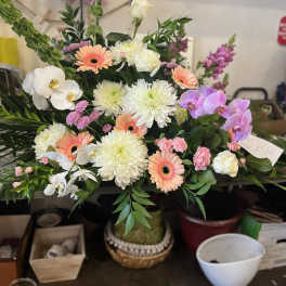Gerberas and more