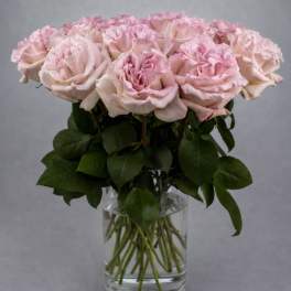 ****FEATURE FLOWER*** ------------ Blush Powder Puff