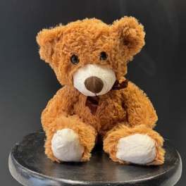 #A027 - Huggy Bear