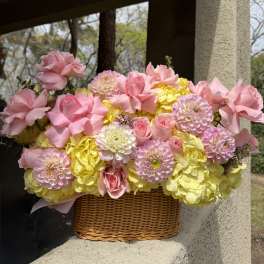 Pasión de Flores