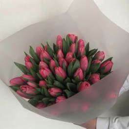 Tulips Garden
