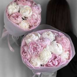 Sweet Peony Dream