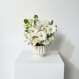 Ivory Calm