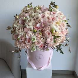 Alice Wonderland Arrangement