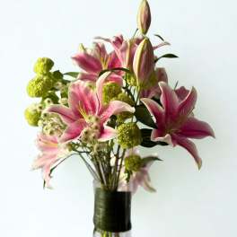 Oriental Lillies
