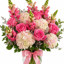 Rosy Garden Grace