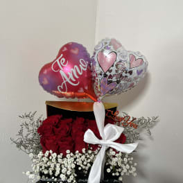 box roses