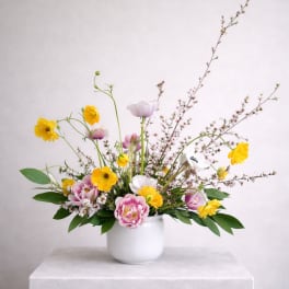 Wild Meadow Muse