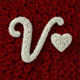 Baby's Breath Letter - V