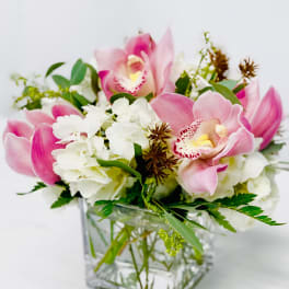 Orchids For The Desk
