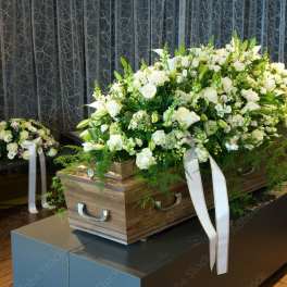 Beauty White