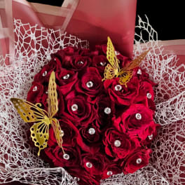 Butterfly red wrap