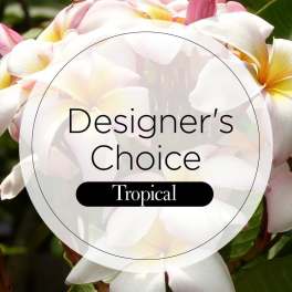 Close-up of white and pink tropical flowers with a text overlay