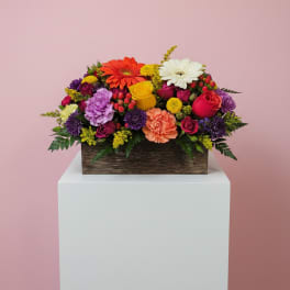 Bright Days Container Mix