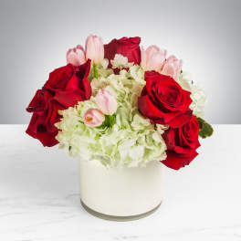 Blossoming Romance